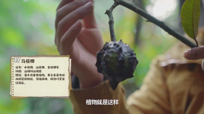 探寻真实的境外服务器费用是多少