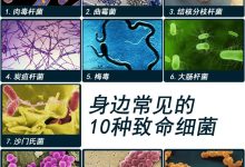 常见的更换主机时机及其影响因素 (主更换42)-虎跃云资讯网