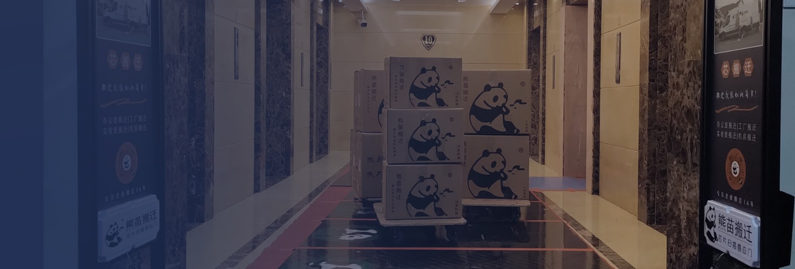 正规服务器搬到哪里