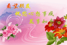 行业内的性价比考量 (行业内的性价比高吗)-虎跃云资讯网