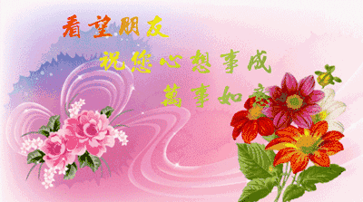 行业内的性价比考量