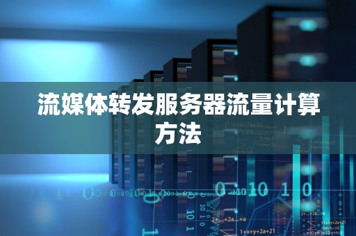 服务器流量的英文缩写