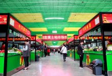 市场行情与最新报价解析 (市场行情最好的猫)-虎跃云资讯网