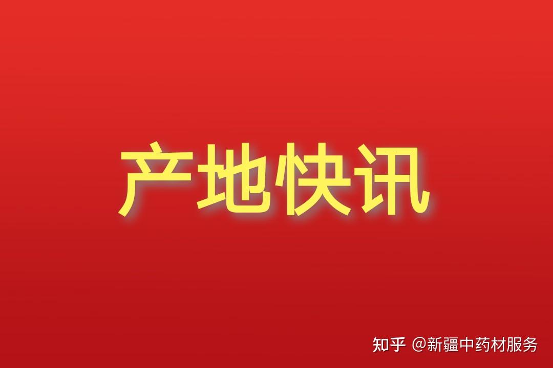 最新价格行情