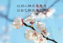 从初创到成熟阶段，流量需求逐步增长 (从初创到成熟的句子)-虎跃云资讯网