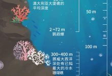 深度解析华为服务器员工薪资待遇 (深度解析华为音乐文件)-虎跃云资讯网