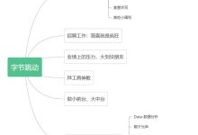 探寻字节跳动数据中心的真实数据 (the information 字节跳动)-虎跃云资讯网