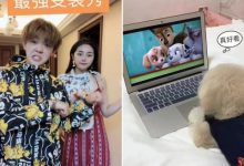 小哥了解快手服务器规模与性能 (小哥了解快手怎么说)-虎跃云资讯网