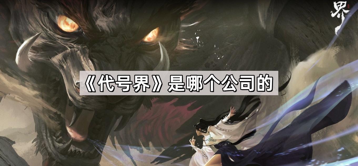 代号究竟有何含义
