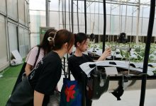 视频服务器宽带的兆数需求是多少？ (视频服务器宽度多少)-虎跃云资讯网