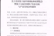 分割标题指南 (标题分割线)-虎跃云资讯网