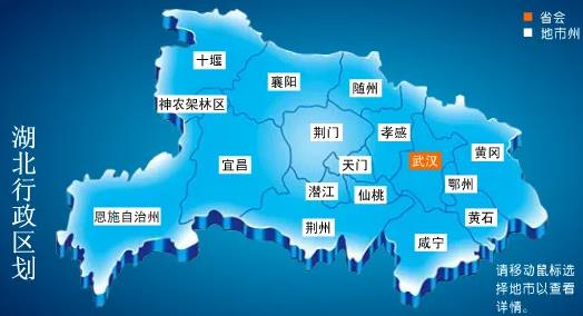 湖北服务器厂家报价概览
