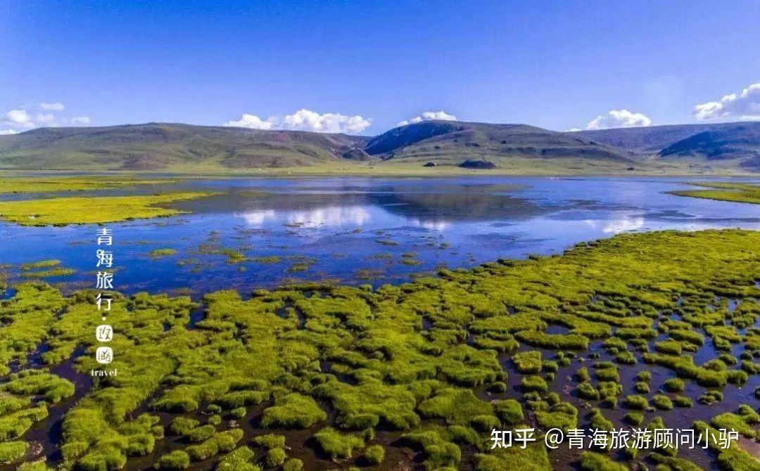 青海地区服务中心电话