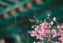 一探究竟的神秘面纱 (一探究竟的神话故事)-虎跃云资讯网