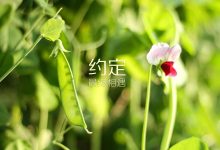 地域因素如何影响托管价格 (地域因素如何描述)-虎跃云资讯网
