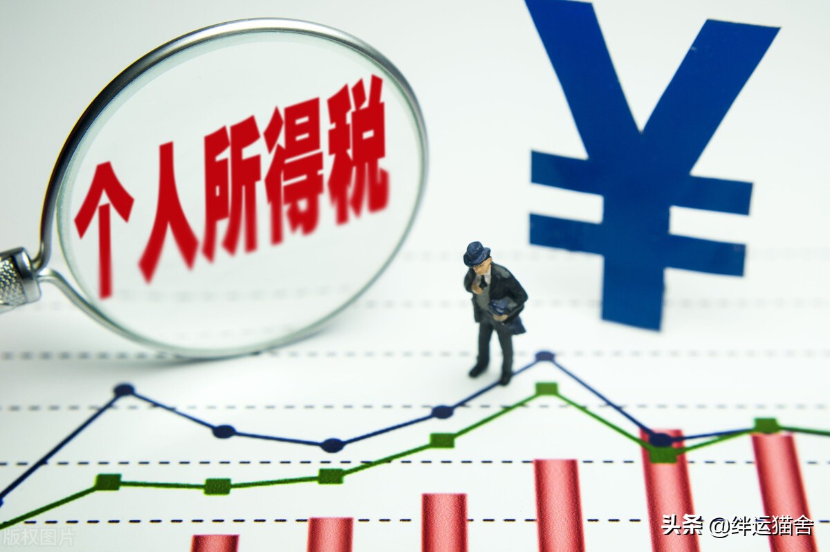 税收入缴纳比例怎么算