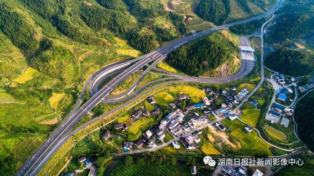 为您解析湖南服务器托管市场定价现状