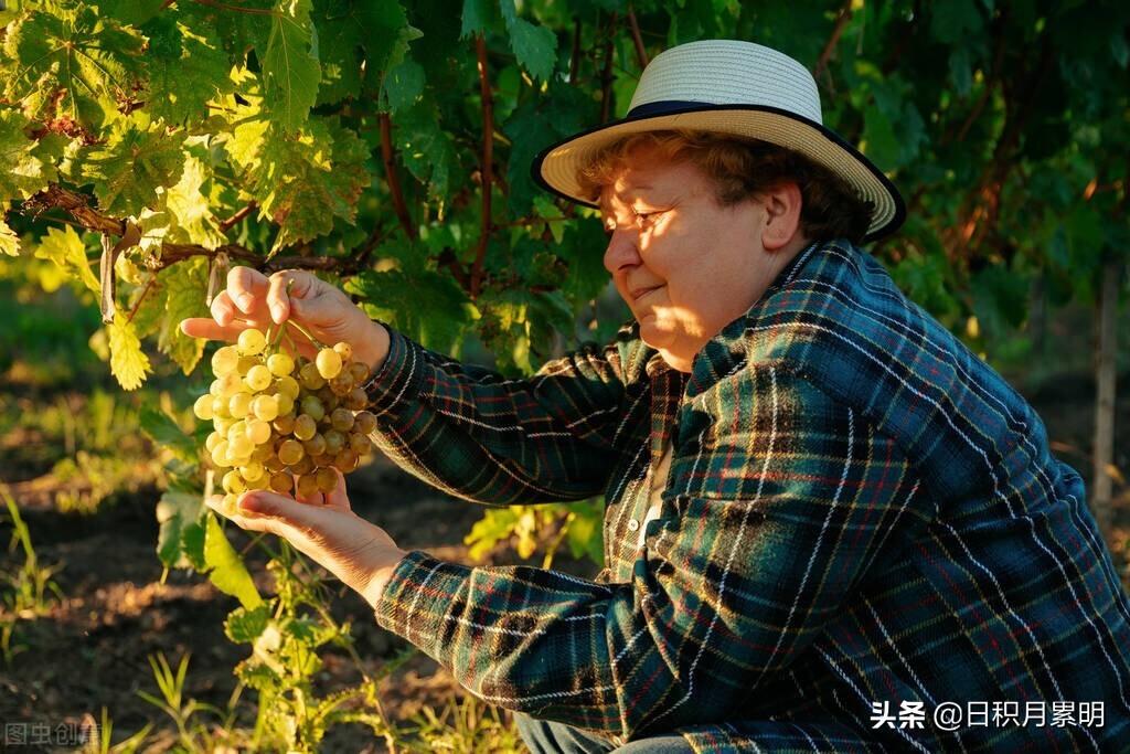 你知道有多少公里