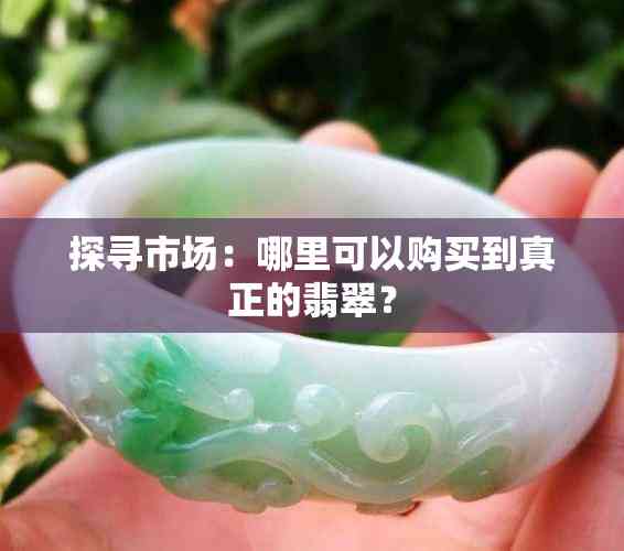 探寻最新市场价格趋势