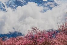 如何了解不同方案的价格差异? (如何了解不同汽车抵押贷款平台的政策?)-虎跃云资讯网
