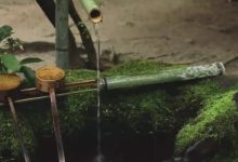 揭秘其真实功耗数值 (揭秘其真实功法的小说)-虎跃云资讯网