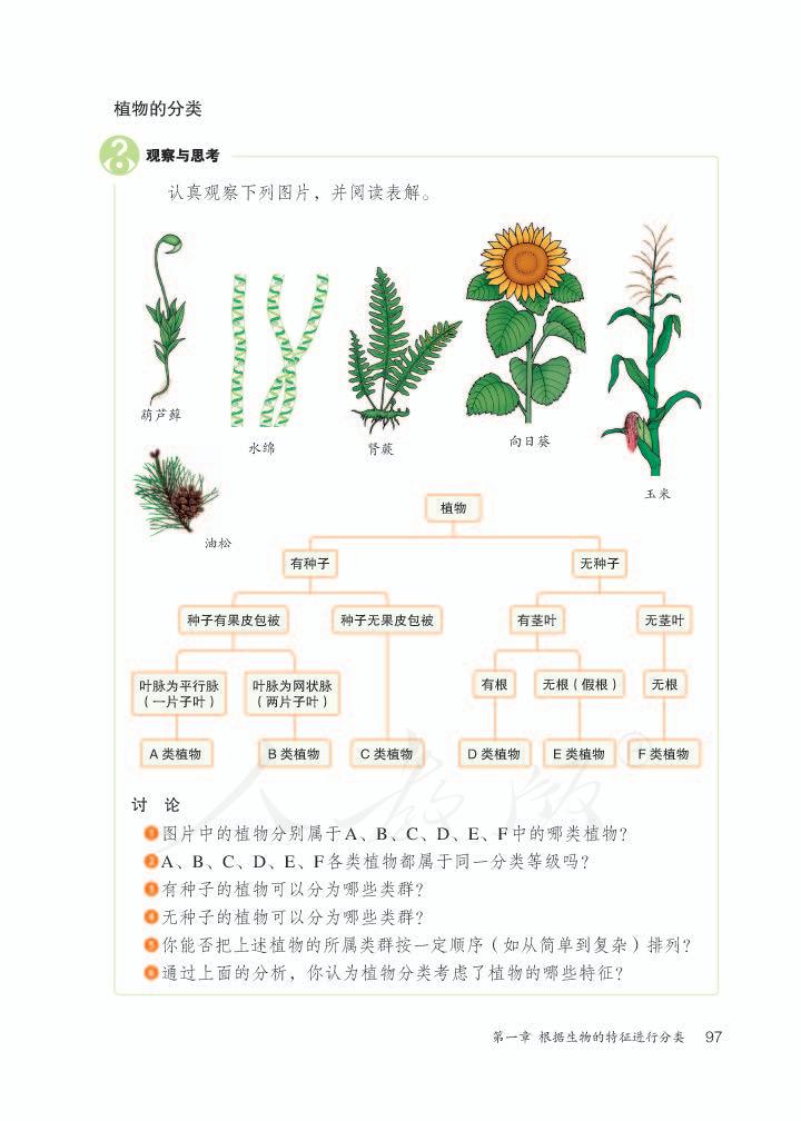 根据不同配置与服务的价格分析