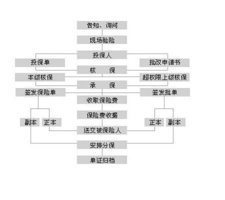 投保细节详解图