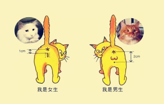 如何根据业务需求确定云服务器H数量