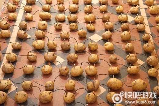 网易土豆服务器