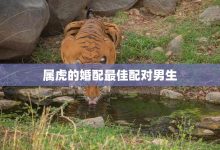 如何选择最适合服务器的固态硬盘 (如何选择最适合自己的有色行情)-虎跃云资讯网