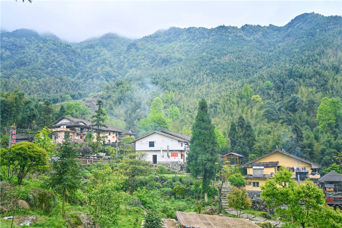 宜春服务器代理价格概览