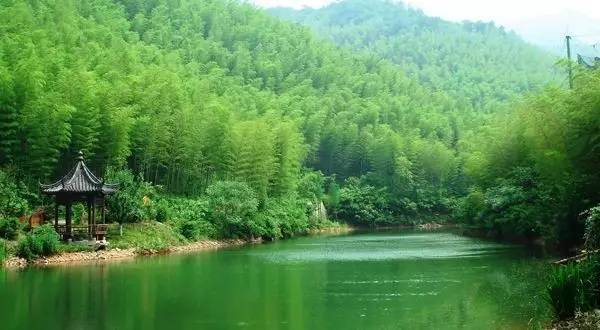 探寻最新溧阳惠普服务器价格趋势