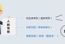不同配置与性能的服务器价格差异 (不同配置与性能的区别)-虎跃云资讯网