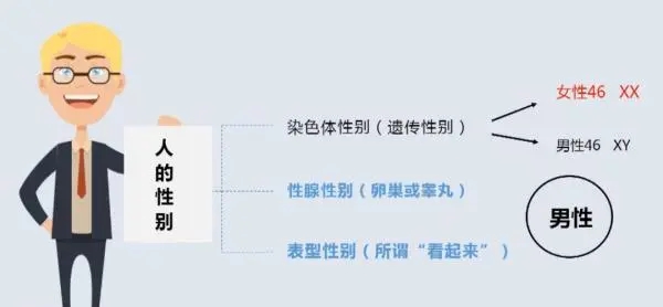 不同配置与性能的区别