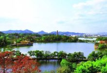 惠州本地服务器提供商的报价对比 (惠州本地服务平台)-虎跃云资讯网
