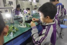 探究云服务器费用受哪些因素影响 (探究云服务器的目的)-虎跃云资讯网