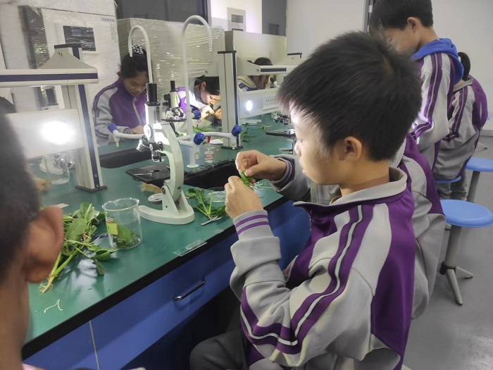 探究云服务器的目的