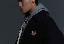什么是Ice服务器及其相关数字标识 (什么是ICE超导制冷)-虎跃云资讯网