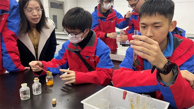 探究合适的内容怎么写