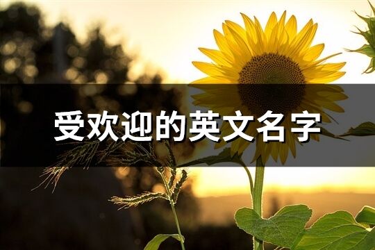 全球最受欢迎的竞技游戏服务器布局揭秘