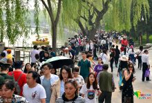 人山人海中的荣耀之战，一局游戏的最多参与人数究竟是多少？》 (人山人海中的空旷)-虎跃云资讯网