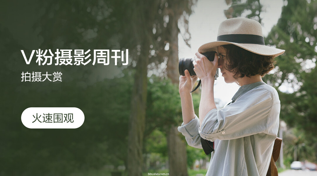 vivo玩家如何选择和适配服务器