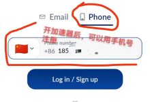最新ice服务器号码是多少？ (icey最新版本是多少)-虎跃云资讯网