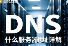 nds服务器具体数值介绍 (dns的服务器地址设置为多少)-虎跃云资讯网