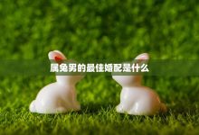 如何找到最适合自己的服务器并获取最优价格。 (如何找到最适合自己的工作)-虎跃云资讯网